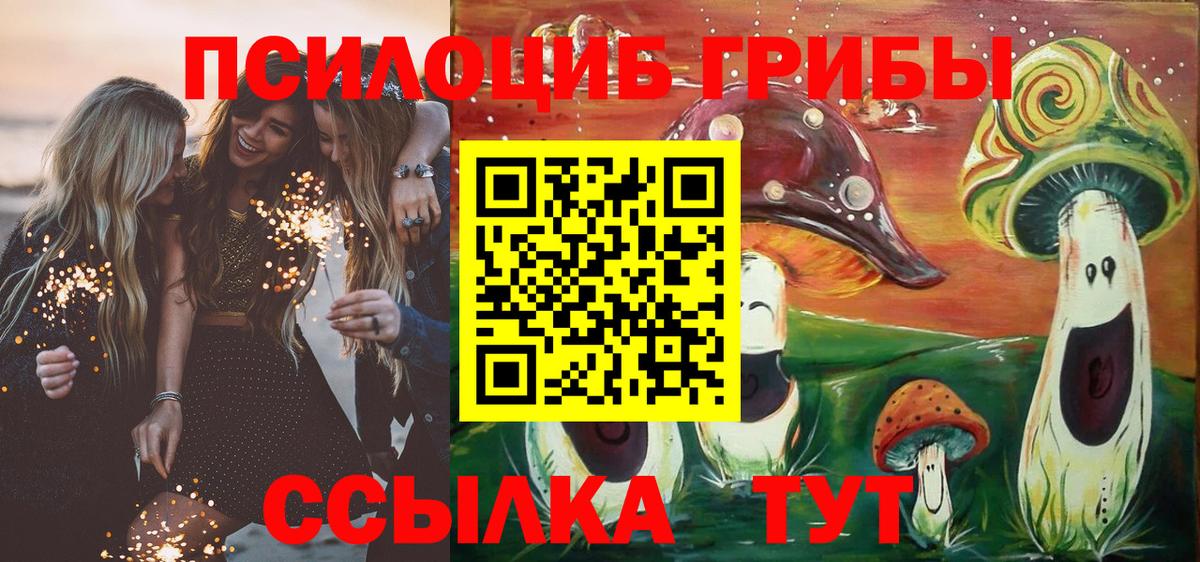 Тимашёвск  Псилоцибиновые грибы Psilocybine cubensis  Вход с VPN 